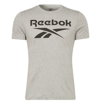 Camiseta Reebok Big Logo Reebok Hombre gris