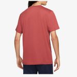 02DM6075-661-camisetanikesportswearair-nike-hombre-2
