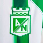 FN6641-310-Camiseta-Nike-Atletico-Nacional-Local-2024-Hombre-Verde-Blanco-4