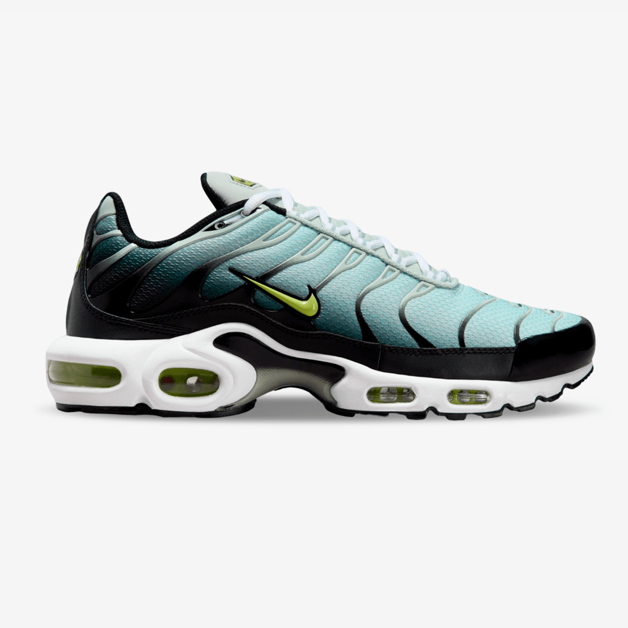 Tenis Nike Air Max Plus Hombre Azul