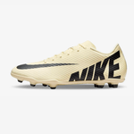 DJ5963-700-guayos-Nike-Hombre-Vapor-amarillo-2